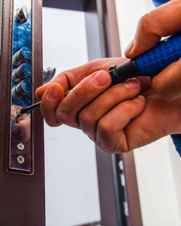 Same-Day Garage Door Repair in Naperville, IL